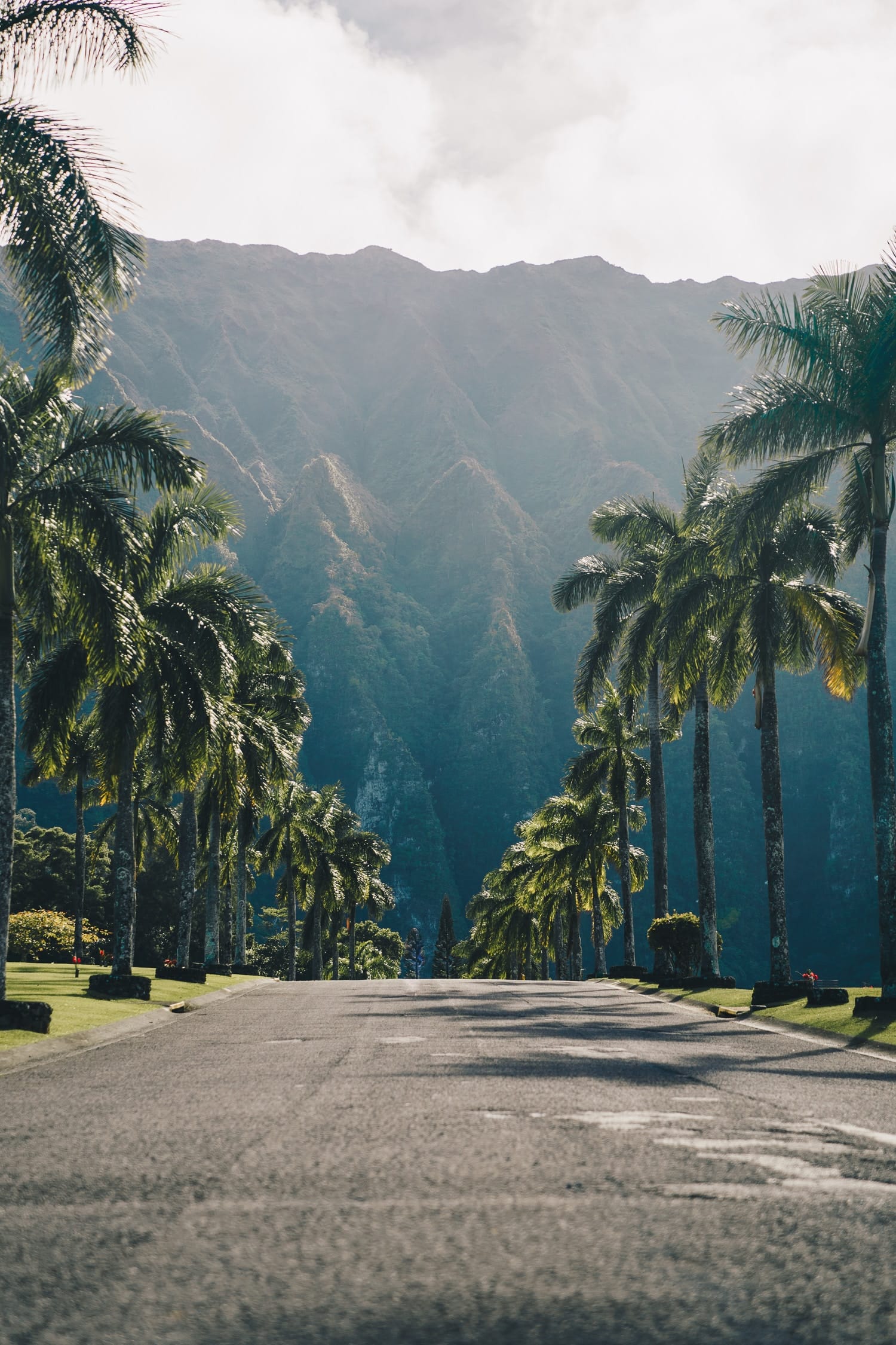 Transition to Tropical: What to Know Before Buying Property in Hawaii