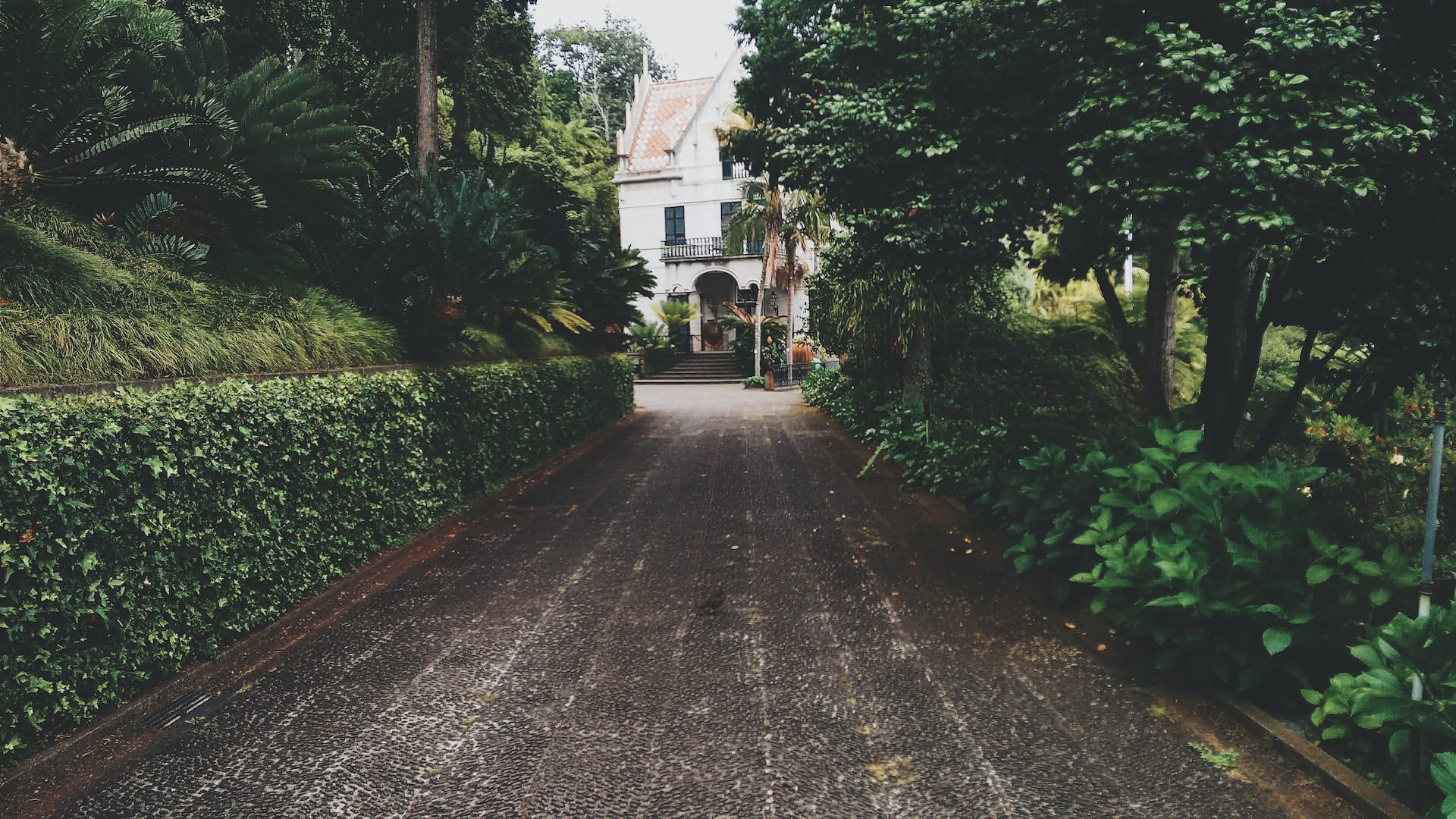 4 Tell-tale Signs That It’s Time to Replace Your Driveway